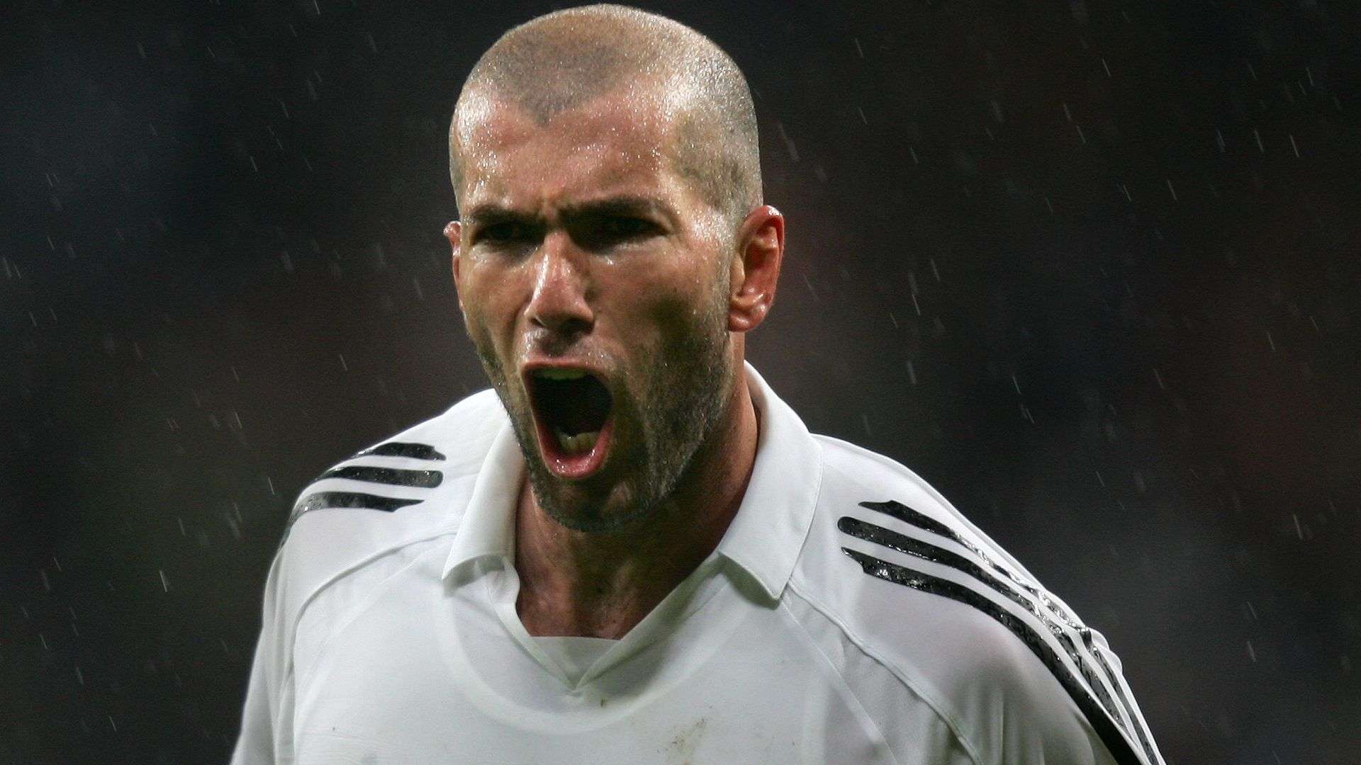 而是通过调 而是通过调