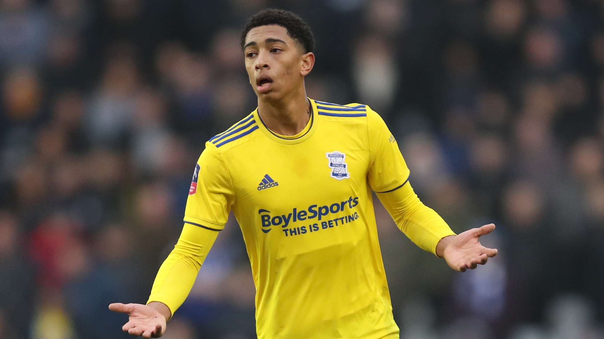 示着本赛季 示着本赛季