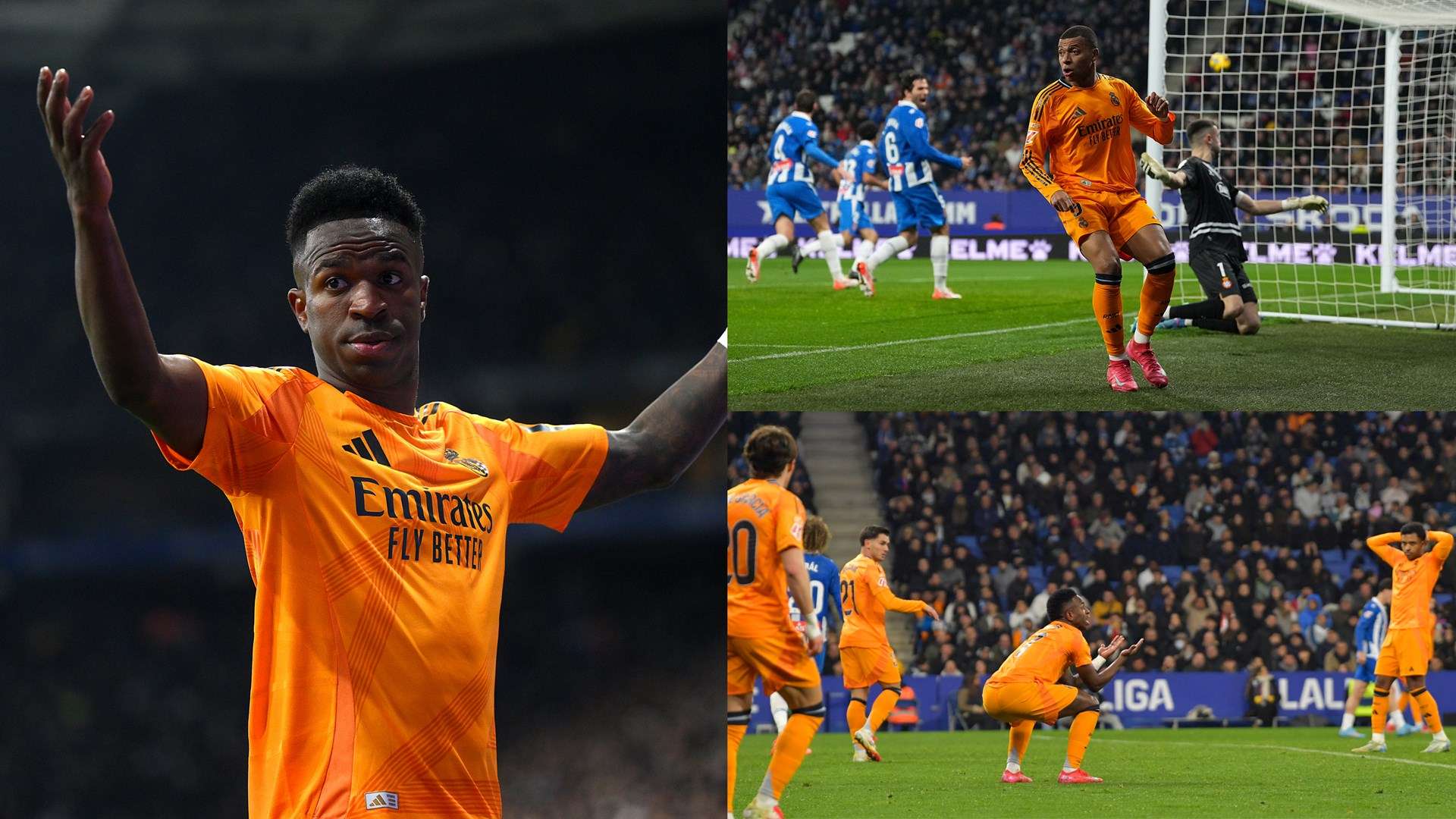 稀世珍宝 稀世珍宝