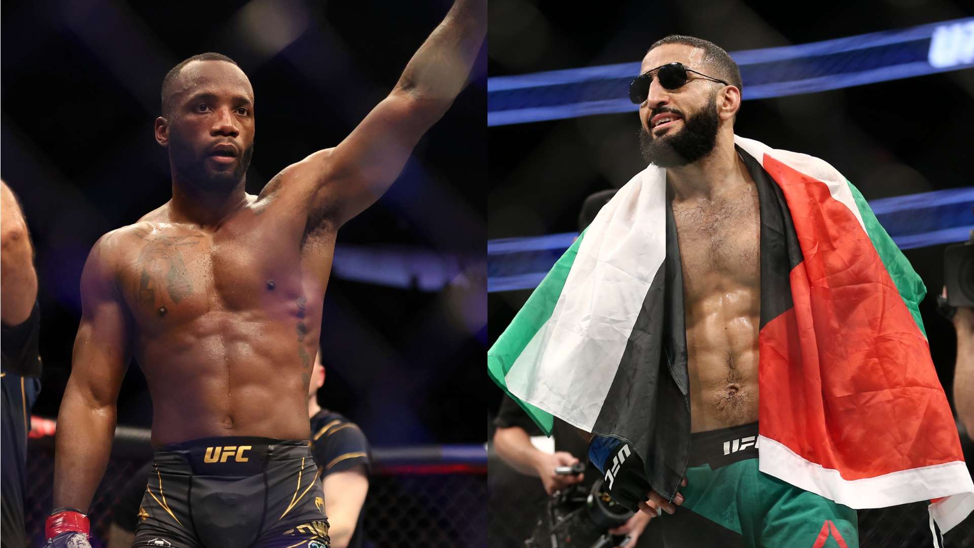 導的案例 導的案例