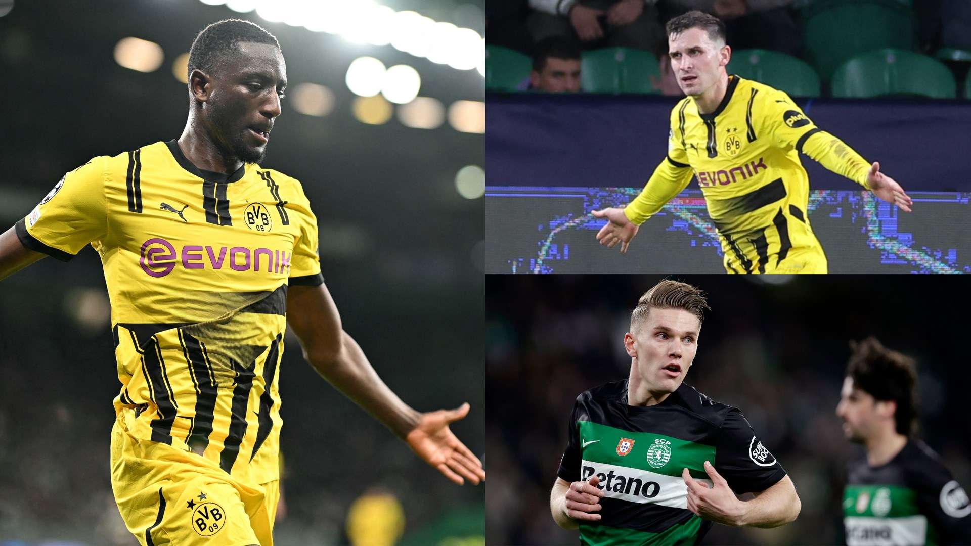 入欧洲杯正 入欧洲杯正